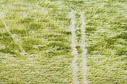 Kelim Marokkanische Berber Teppich Azilal 250 x 160 cm