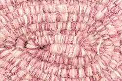 Wollteppich - Wellington (rosa)