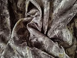 Vorhang - Cleo (grau)