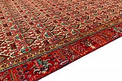 Tapis oriental Hamedan 287 x 186 cm