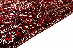 Tapis oriental Hamedan 298 x 202 cm