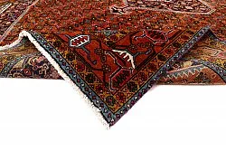 Orientalischer Teppich Hamedan 281 x 196 cm
