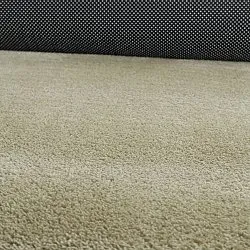 Tapis Shaggy Ondulé Asymétrique - Aranga Super Soft Fur (vert clair)