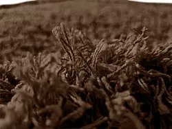 Hochflorteppiche - Bonnie Natural Cotton Shaggy (braun)