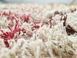 Hochflorteppiche - Maloney Natural Cotton Shaggy (multi)