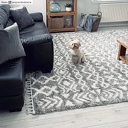 Hochflorteppiche - Loja (grau)