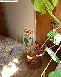 Wollteppich - Aliste Wool Shaggy (alabaster gleam)