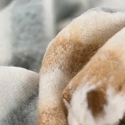 Decken - Überwurf aus Wollmischung - Monica (gelb)