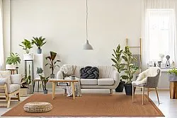 Sisal-Teppich - Agave (braun-orange)