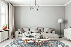 Shaggy Intérieur-Extérieur - Trenton (blanc/bleu)