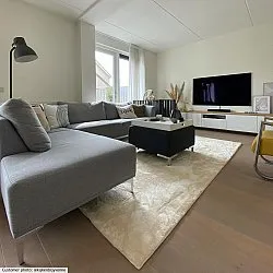 Hochflorteppiche - Aranga Super Soft Fur (beige)