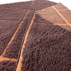 Tapis à poils longs - Bellevue Natural Cotton Shaggy (rouge/orange)