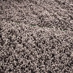 Hochflorteppiche - Bellevue Natural Cotton Shaggy (taupe/grün)