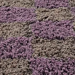 Runde Teppiche - Elsey Natural Cotton Shaggy (braun/lila)