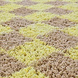 Runde Teppiche - Elsey Natural Cotton Shaggy (gelb/beige)