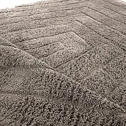 Tapis à poils longs - Farley Natural Cotton Shaggy (taupe)