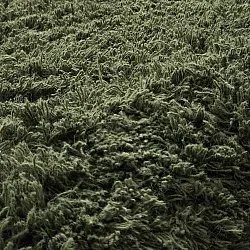 Hochflorteppiche - Fassale Hand Woven Wool Shaggy (moosgrün)