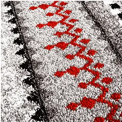 Wilton-Teppich - Elduvik (rot)