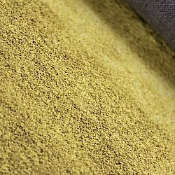 Wilton-Teppich - Bacalar (ocker)