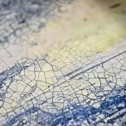 Tapis Wilton - Dolmio (bleu/multi)