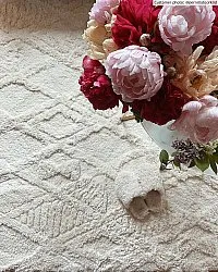 Hochflorteppiche - Rostock (offwhite)