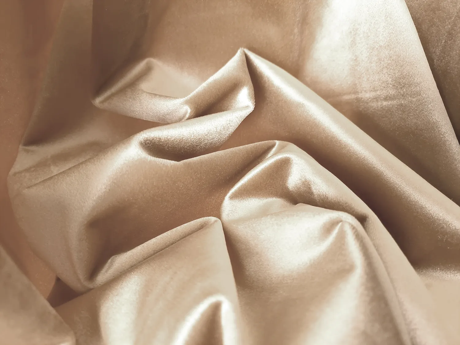 Vorhänge - Samtvorhang Marlyn (hell beige)