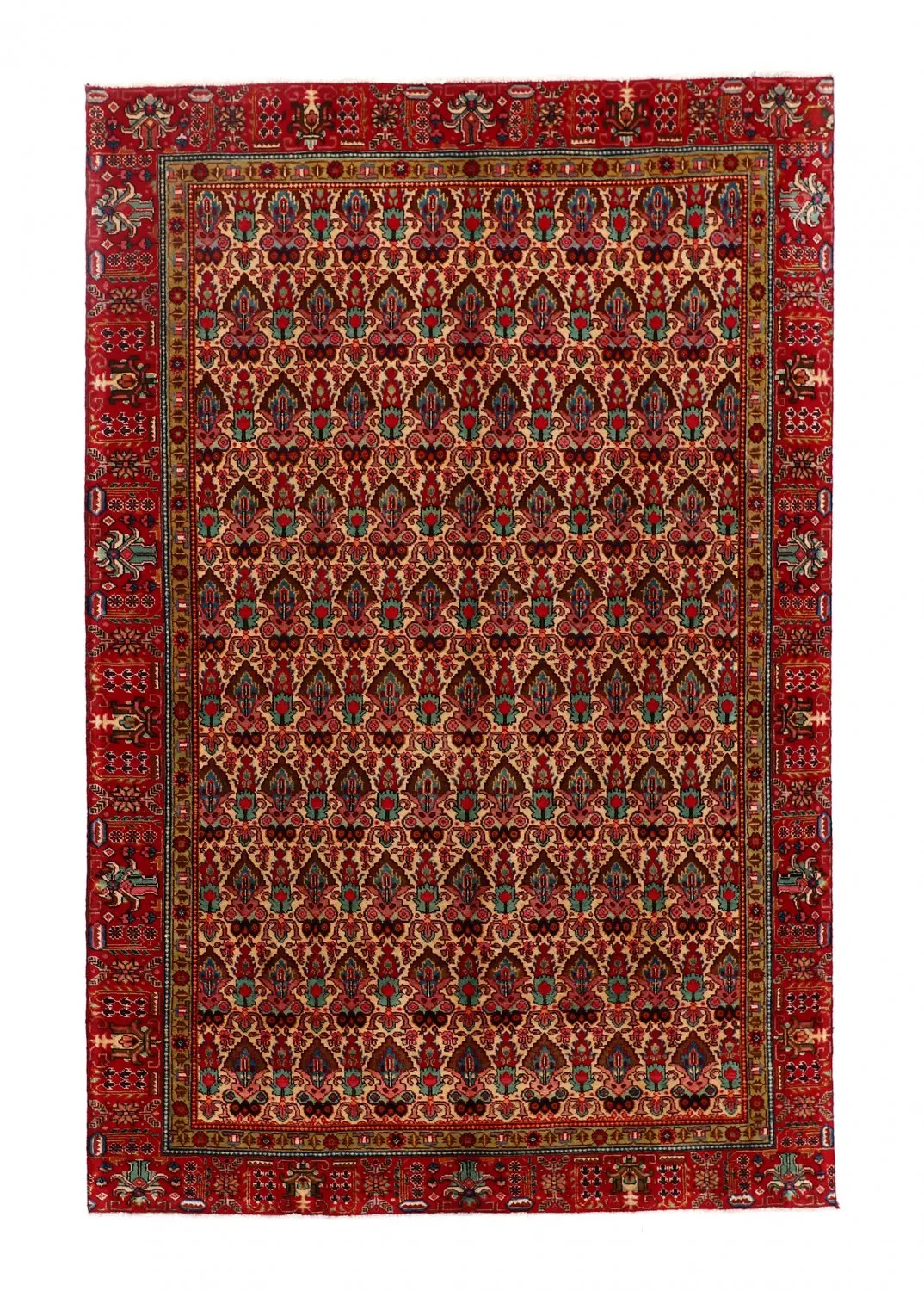 Tapis oriental Hamedan 287 x 186 cm