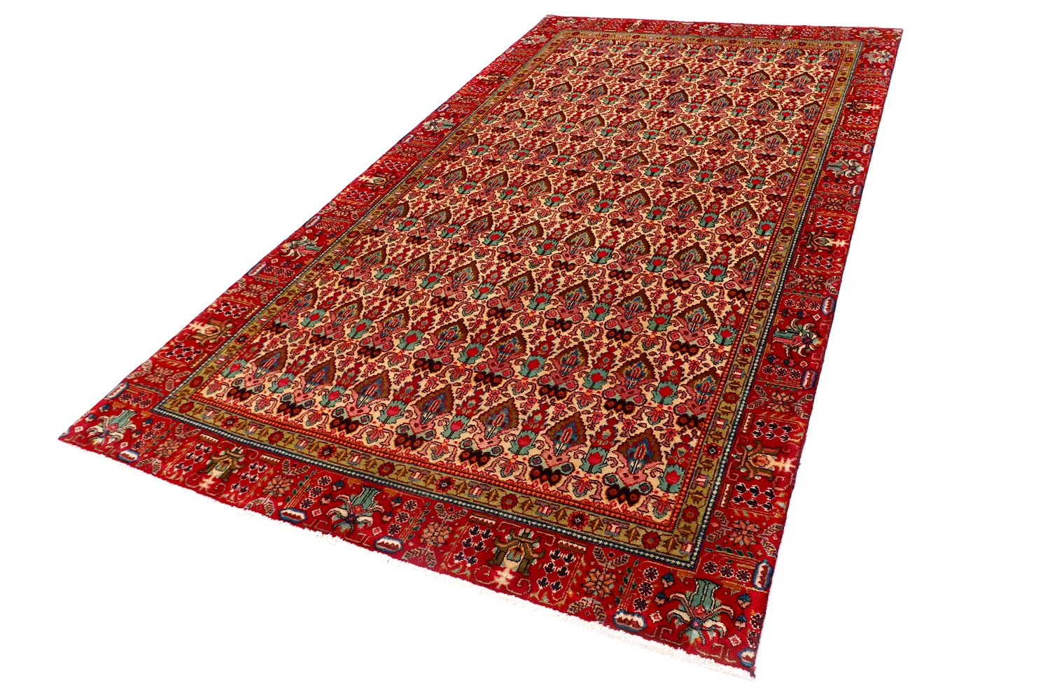 Tapis oriental Hamedan 287 x 186 cm