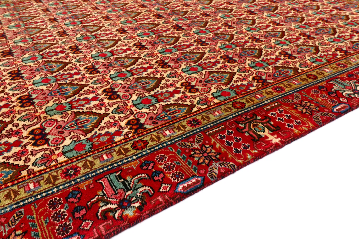 Tapis oriental Hamedan 287 x 186 cm