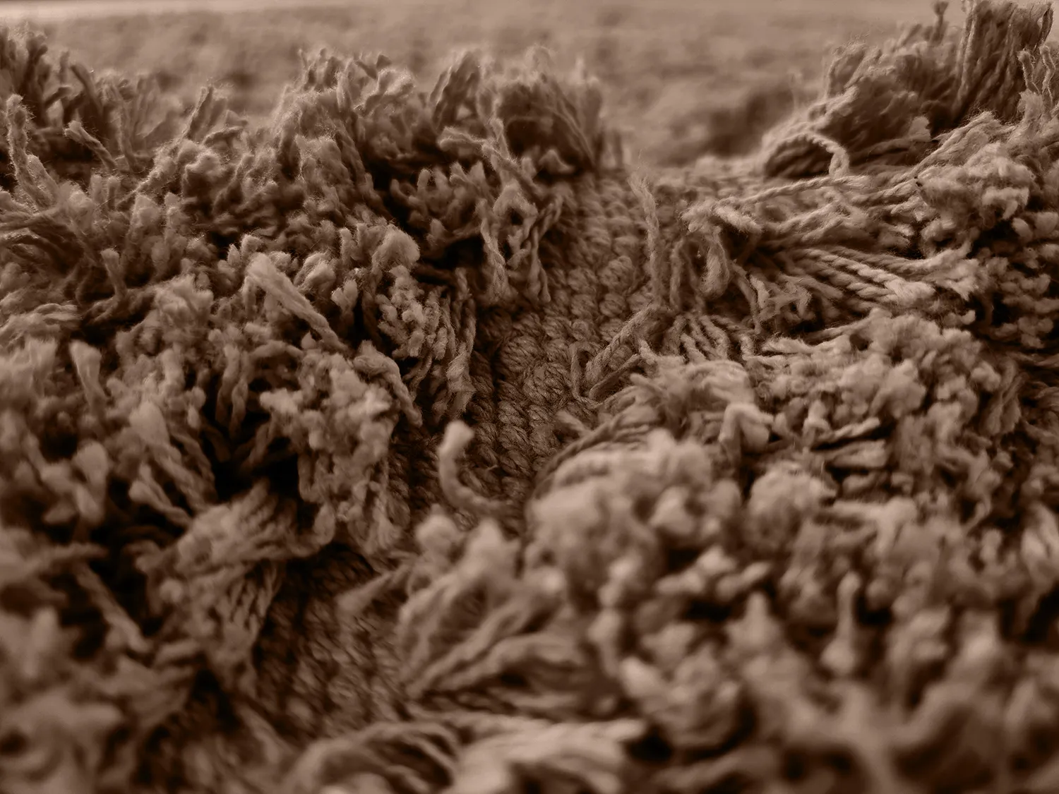 Hochflorteppiche - Kendra Natural Cotton Shaggy (braun)