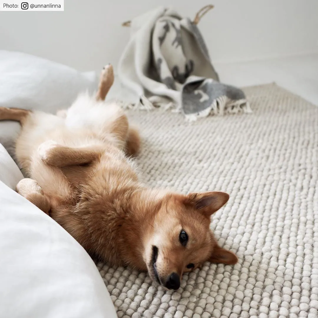 Wollteppich - Avafors Wool Bubble (beige)