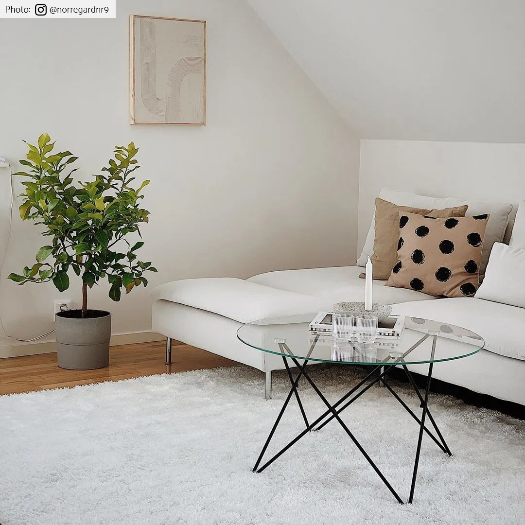 Hochflorteppiche - Cosy (weiß)