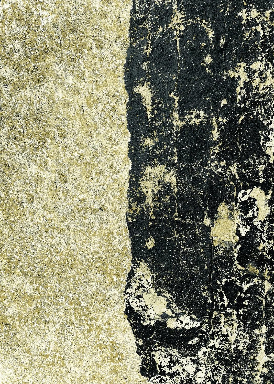 Tapis Wilton - Cyra (noir/doré)