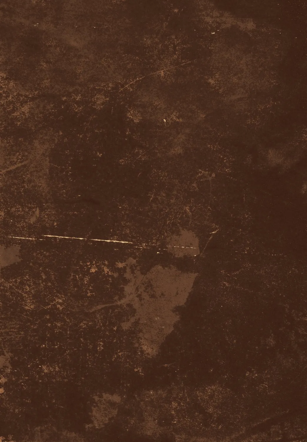 Wilton-Teppich - Zahora (braun)