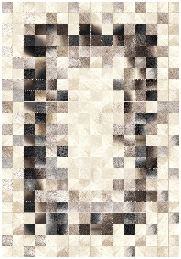 Wilton-Teppich - Livada (weiß/bunt)