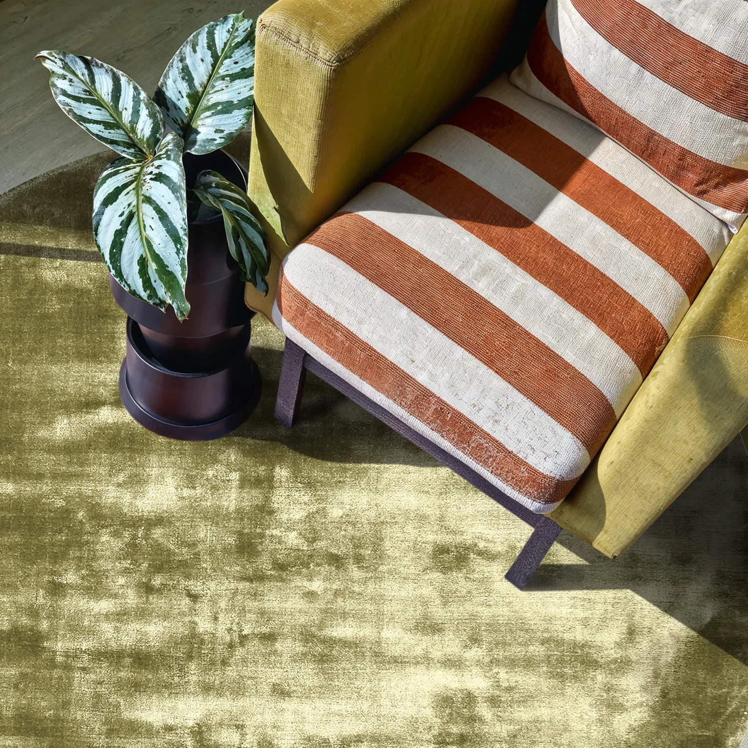 Rund Teppich - Jodhpur Special Luxury Edition (olivgrün)