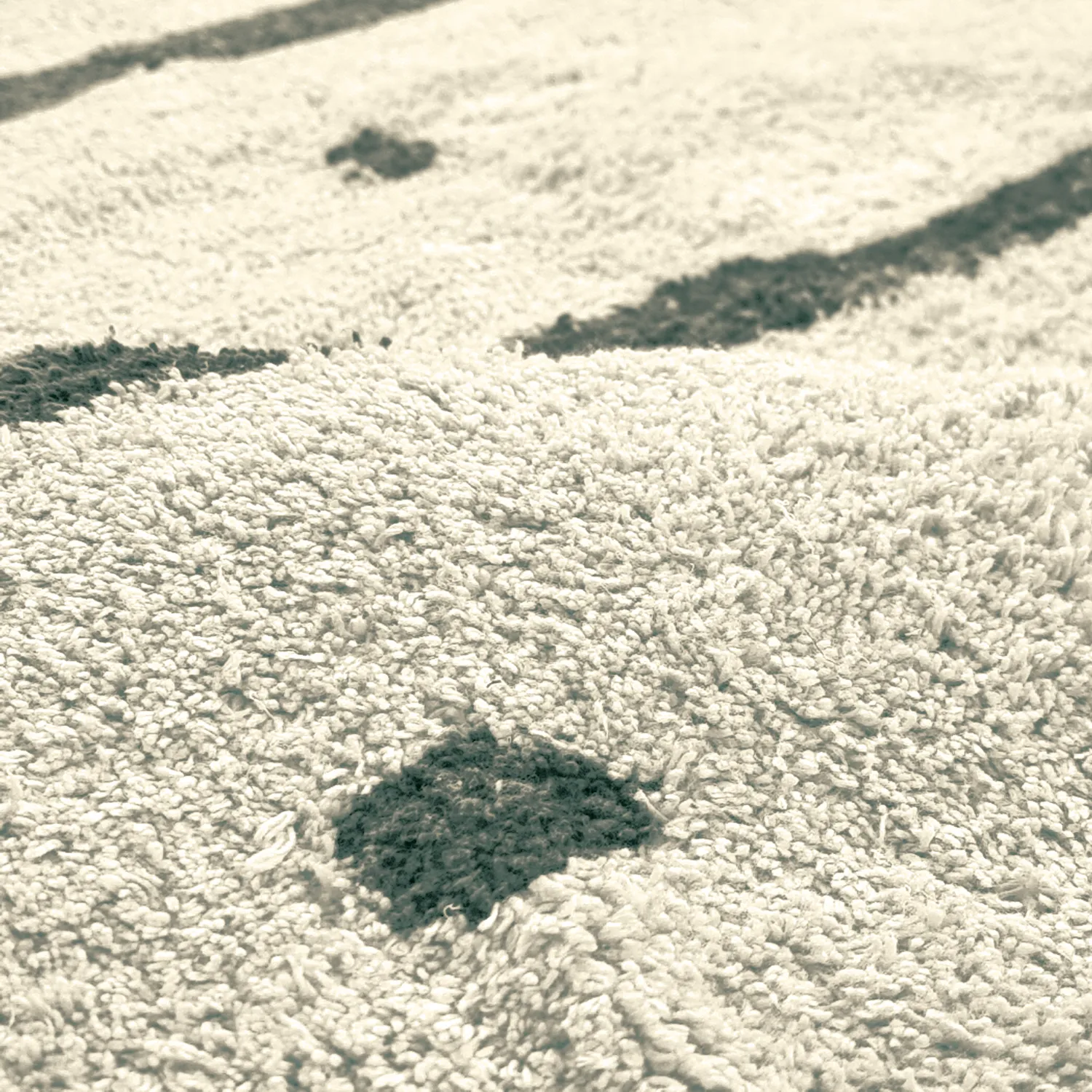 Rund Teppich - Leora Natural Cotton Shaggy (beige/grün)