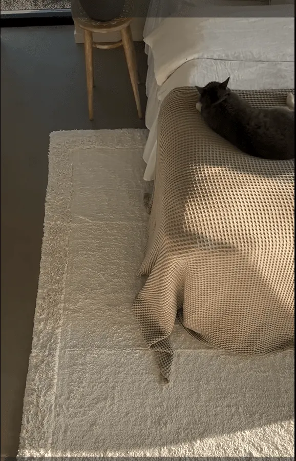 Hochflorteppiche - Ebba Natural Cotton Shaggy (offwhite)