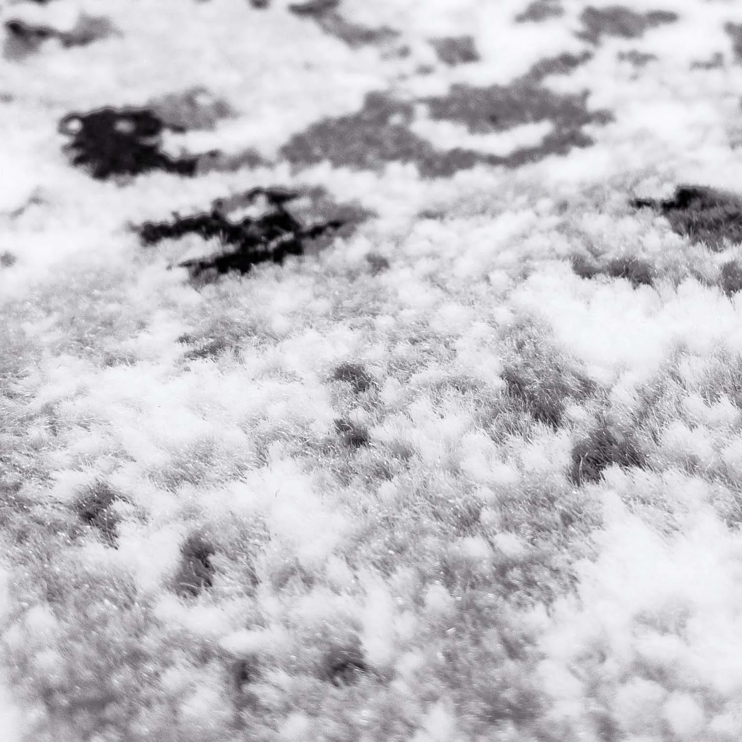 Wilton-Teppich - Ifrane (grau)