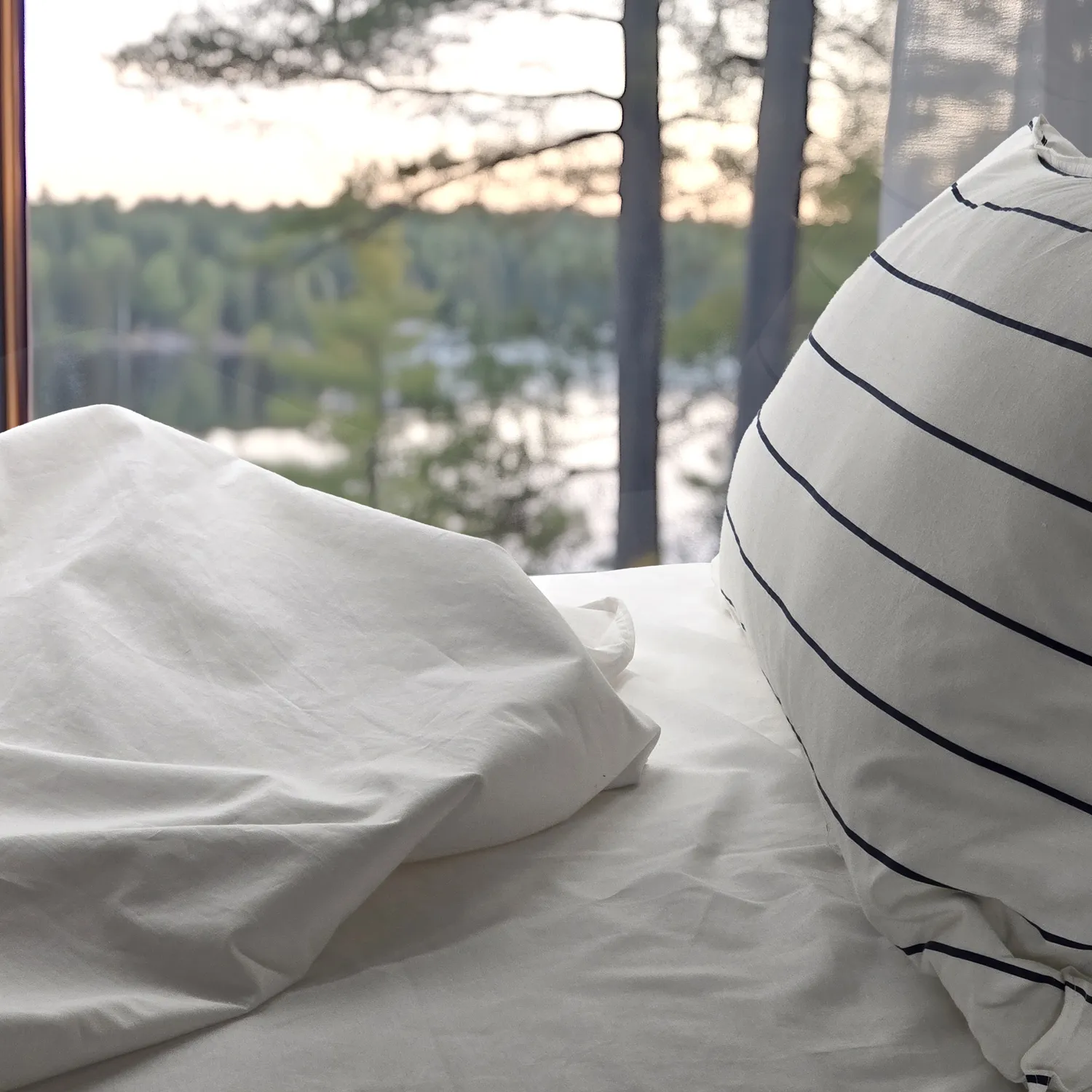 Drap - Asteria (blanc)