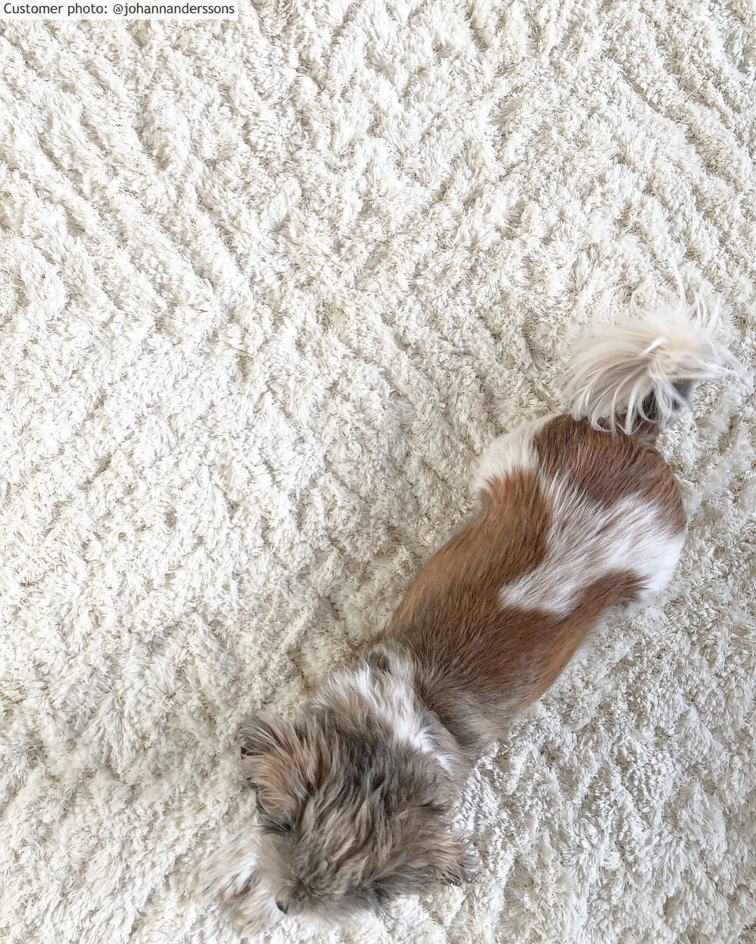 Tapis ronds - Stettin (blanc cassé)