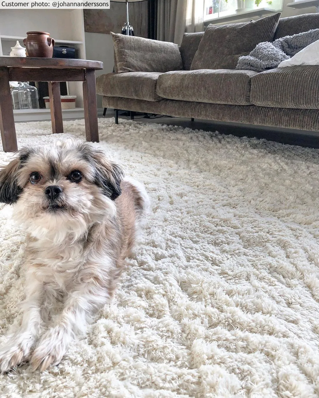 Hochflorteppiche - Stettin (offwhite)