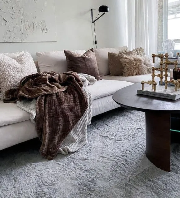 grauerr_sofa_welcher_teppich