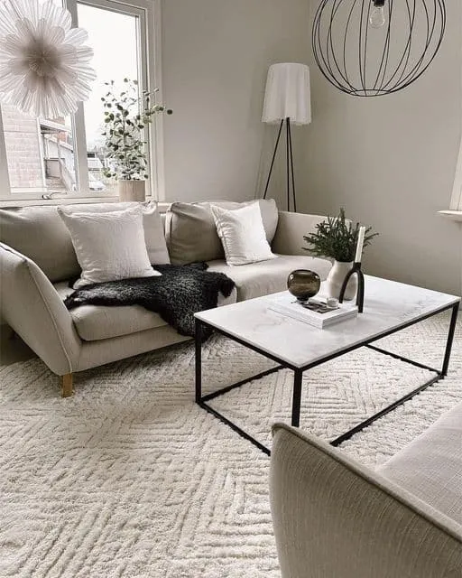 quel-tapis-avec-canape-gris